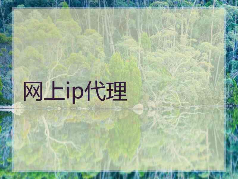 网上ip代理